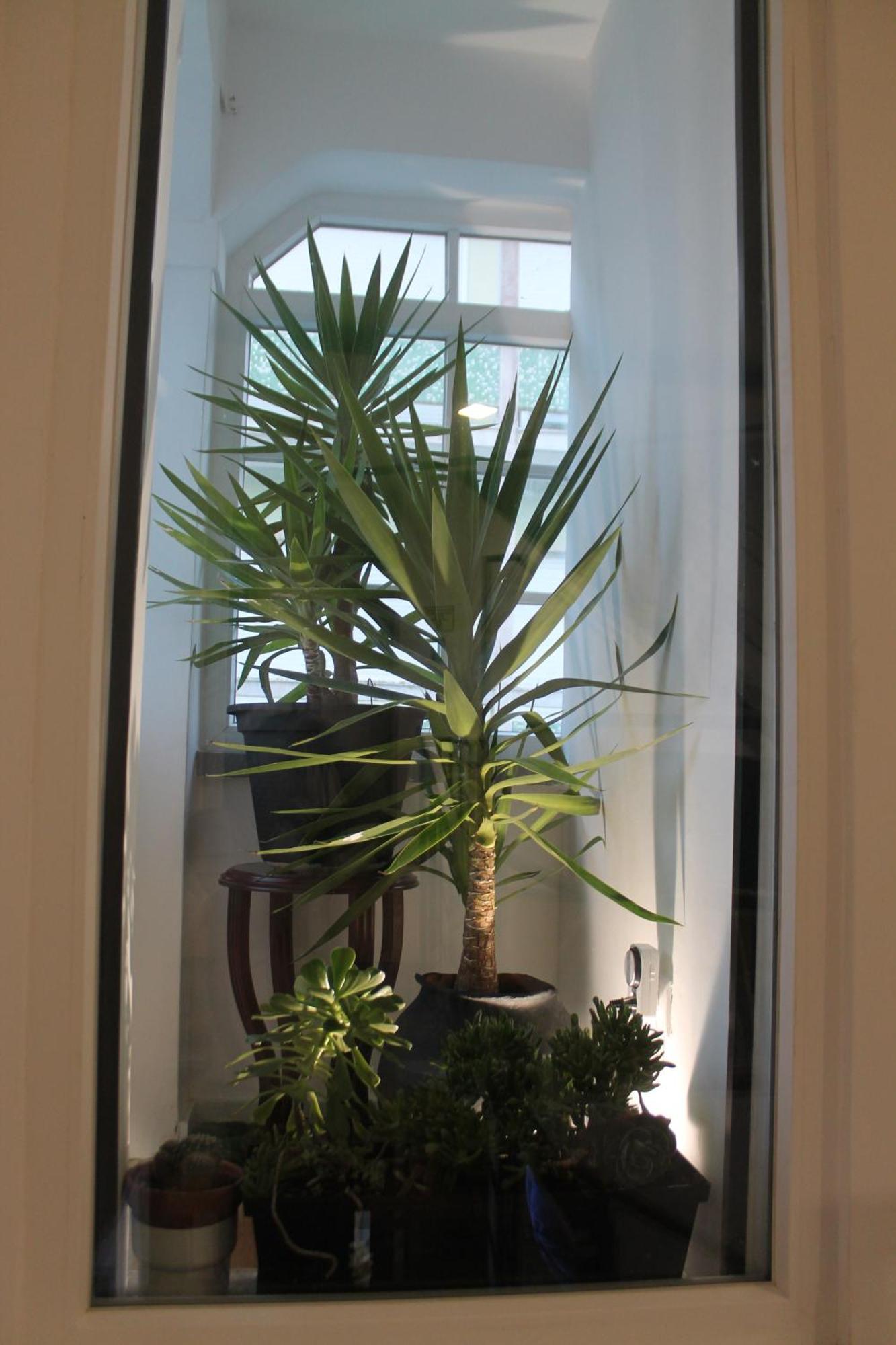Real Guest House Costa de Caparica Exterior foto
